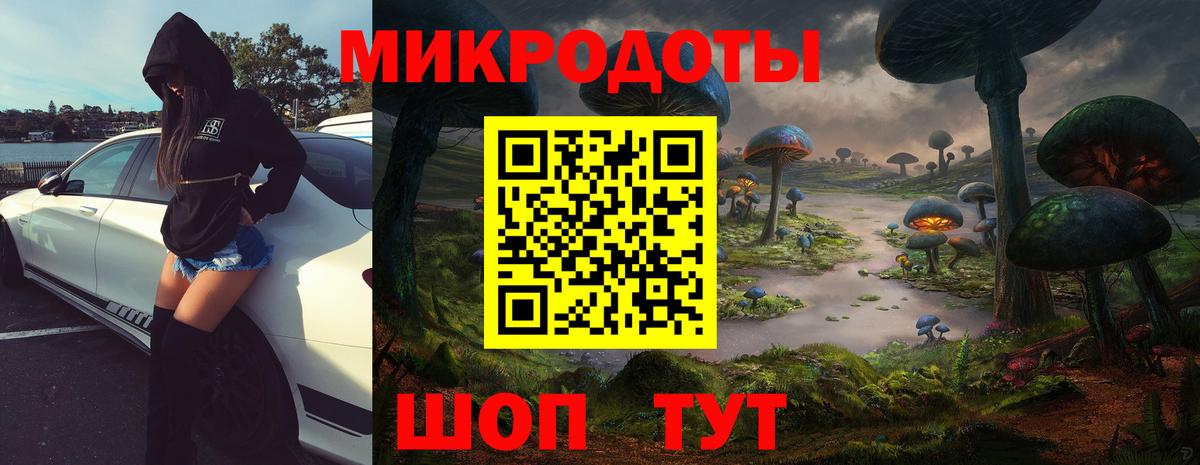 Псилоцибиновые грибы Psilocybine cubensis Донской