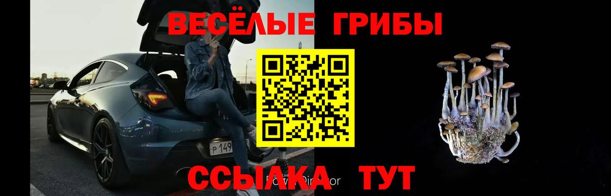 Донской  купить наркотики сайты  Вход с VPN  Псилоцибиновые грибы ЛСД  Псилоцибиновые грибы мицелий 